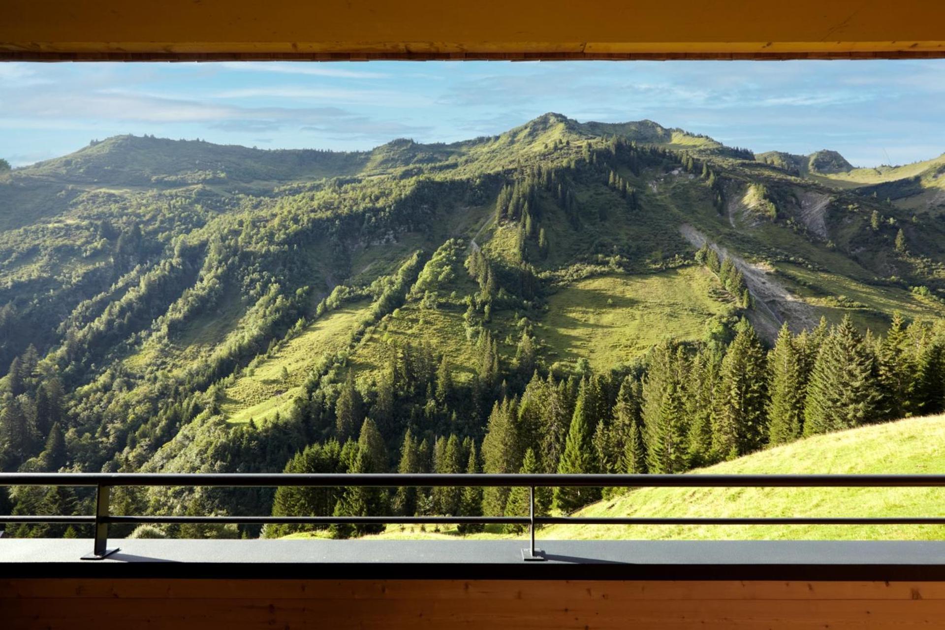 Апартаменты Alpenstolz Damuels Haus 2 - Stilvoll Urlauben In Den Bergen Экстерьер фото
